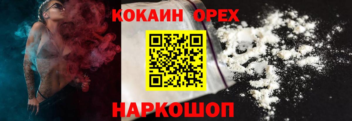 КОКАИН Fish Scale  COCAIN  Можга  Вход с VPN 
